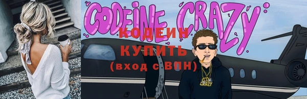 шишки Покачи