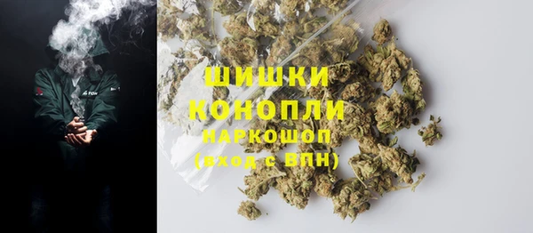 шишки Покачи