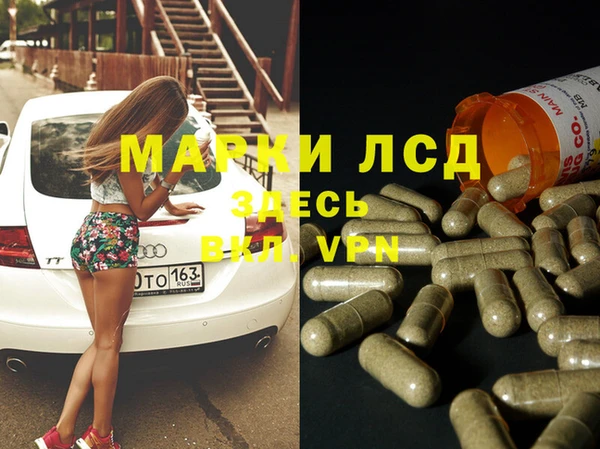 сатива Заводоуковск