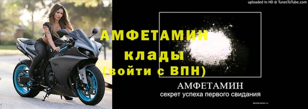 шишки Покачи