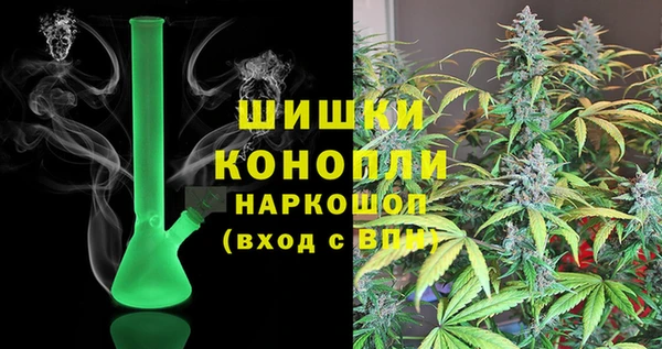 шишки Покачи