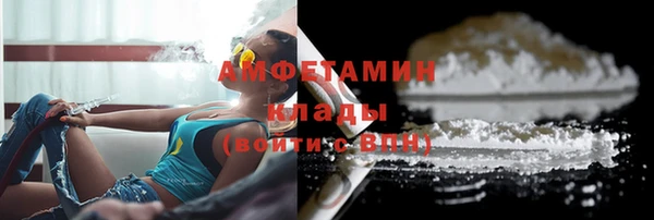 прущие грибы Покровск