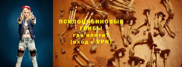 сатива Заводоуковск