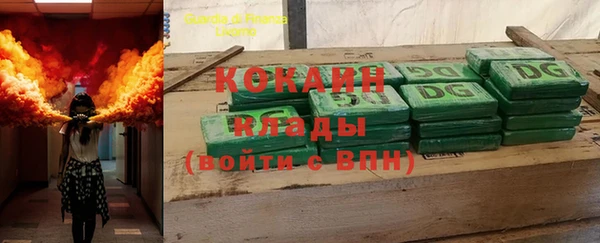 шишки Покачи