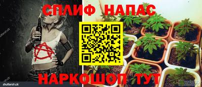 МДМА Дубна