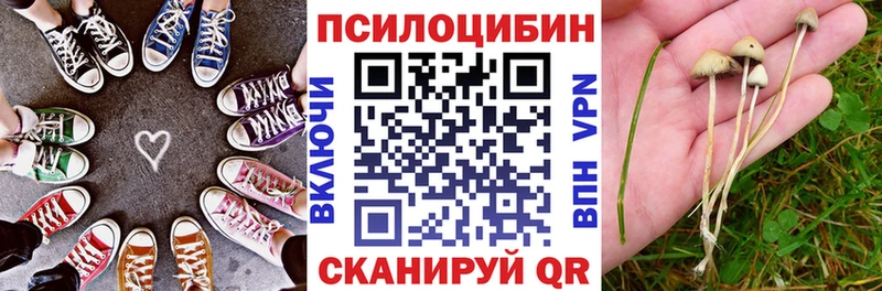 Галлюциногенные грибы Psilocybe  Свободный 