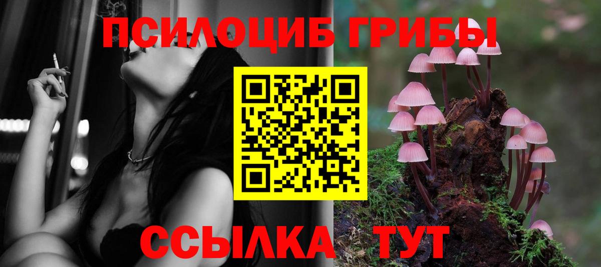 Галлюциногенные грибы Psilocybe  Псилоцибиновые грибы ЛСД  Свободный  Вход с VPN 